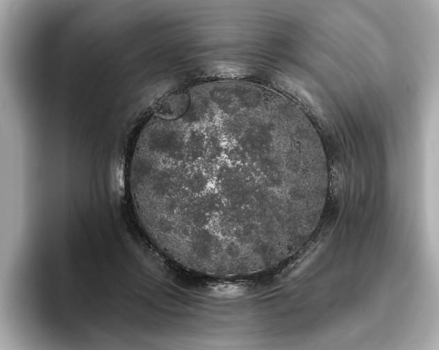 X0000093620358200710151305