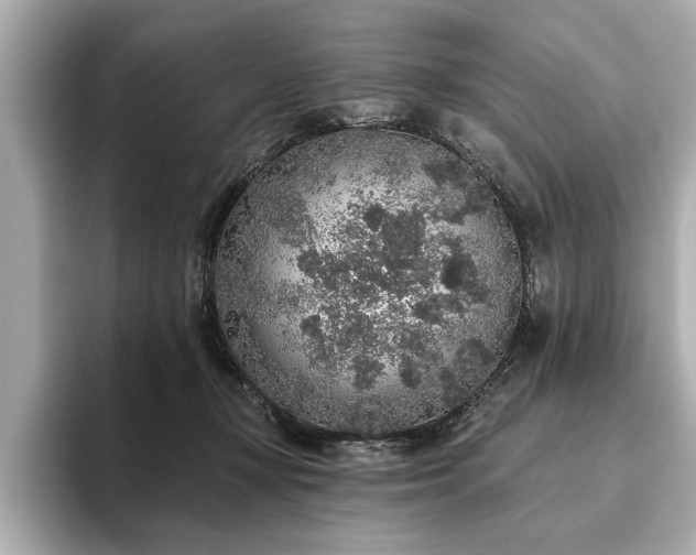 X0000093620367200710151305