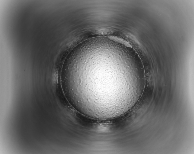X0000093620368200710151305