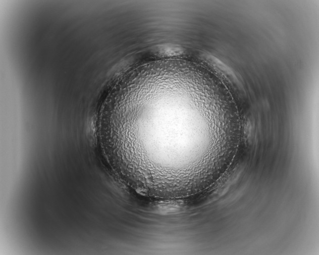 X0000093620373200710151305