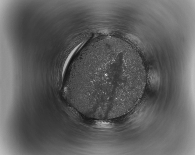 X0000093620380200710151305