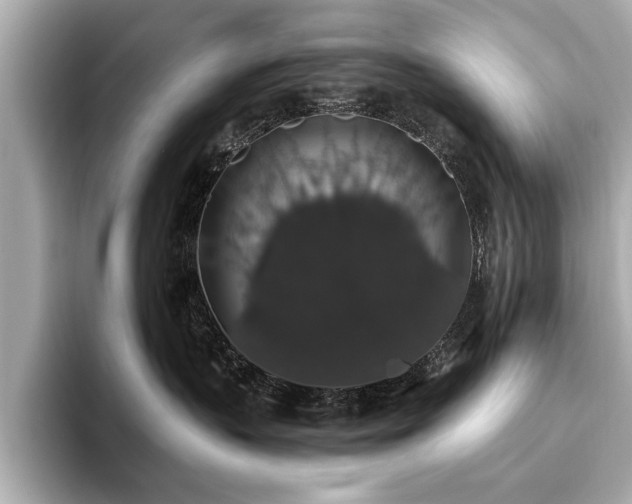 X0000093620383200710151305
