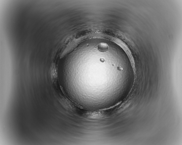X0000093620384200710151305