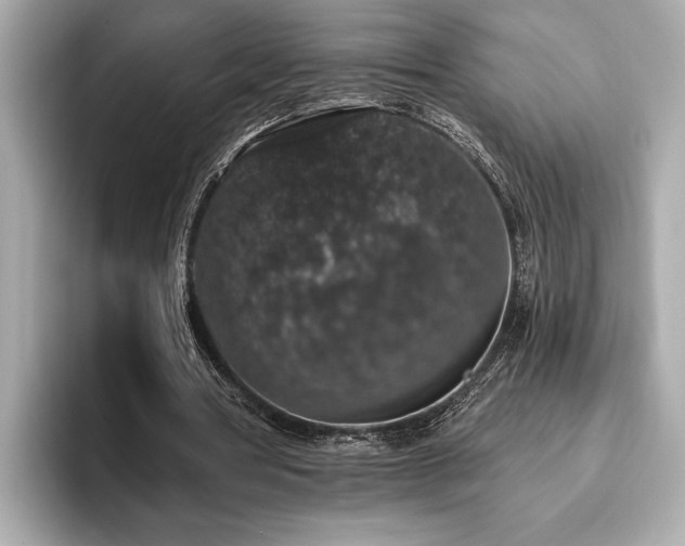 X0000093620386200710151305