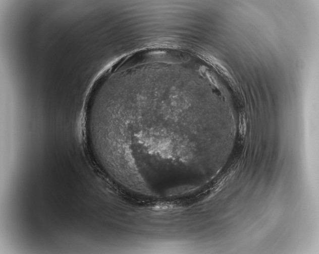 X0000093620388200710151305