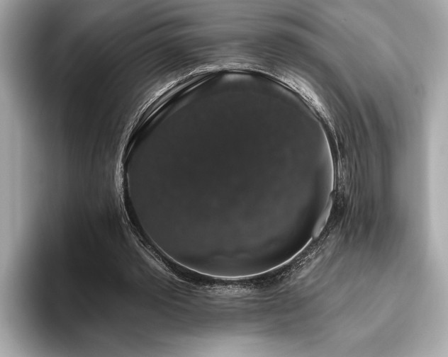 X0000093620389200710151305