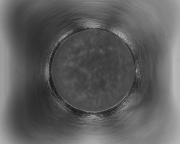 X0000093620390200710151305