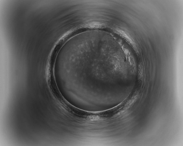 X0000093620392200710151305