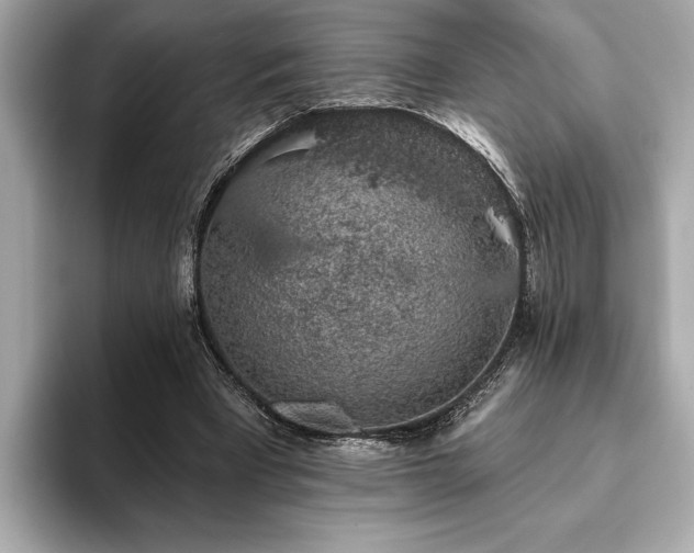 X0000093620393200710151305