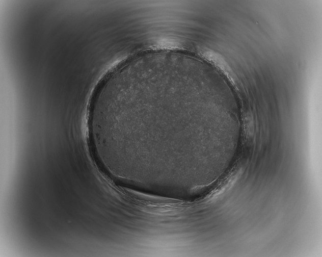 X0000093620395200710151305