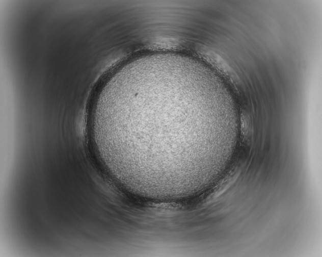 X0000093620396200710151305