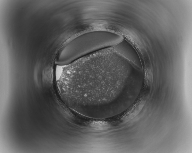 X0000093620397200710151304