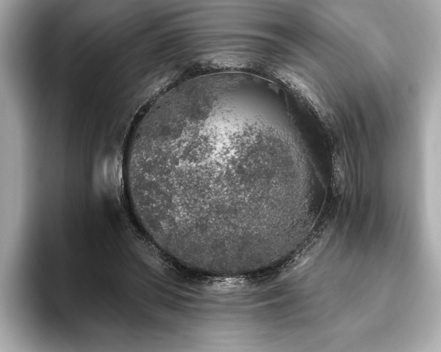 X0000093620398200710151304