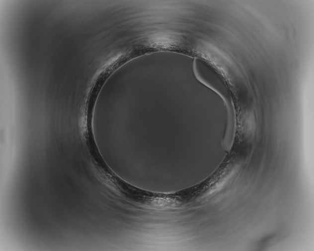 X0000093620399200710151304