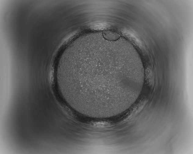 X0000093620400200710151304