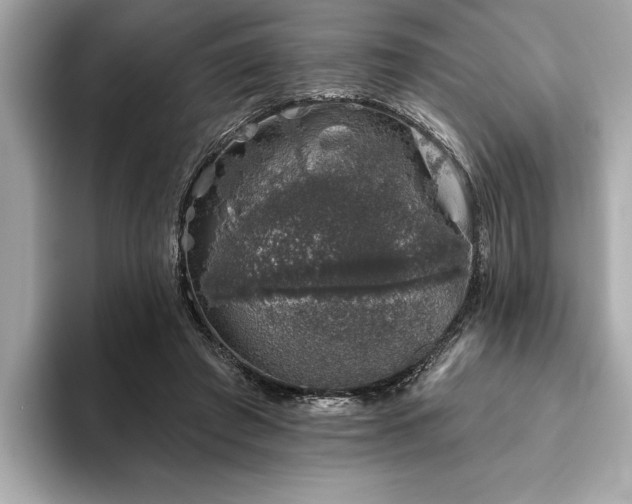 X0000093620401200710151304