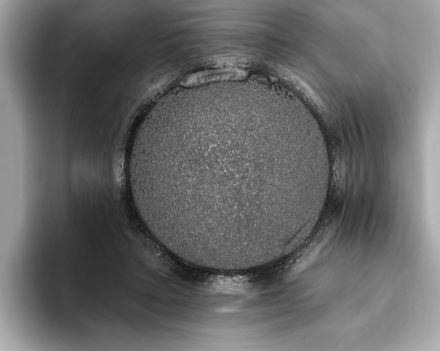 X0000093620403200710151304