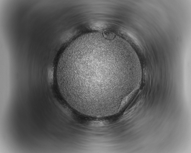X0000093620404200710151304
