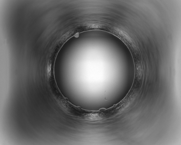X0000093620406200710151304