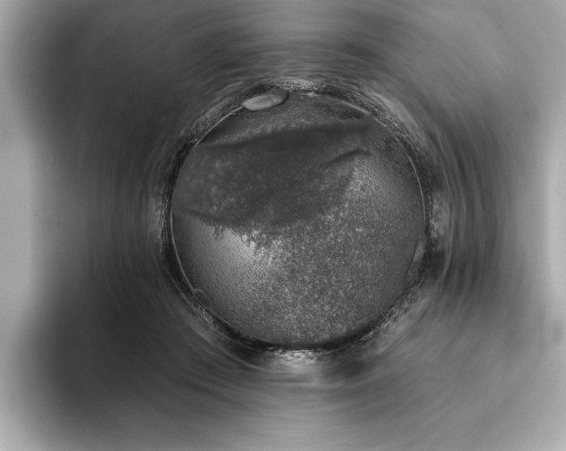 X0000093620409200710151304