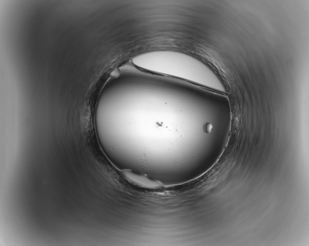 X0000093620411200710151304
