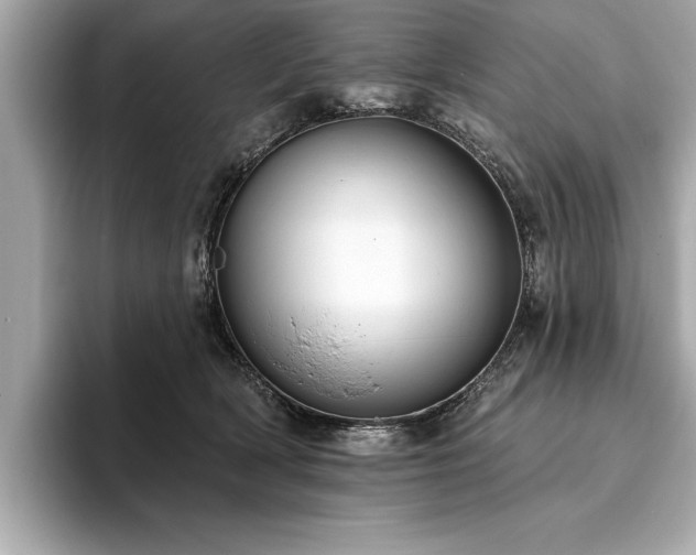 X0000093620418200710151304