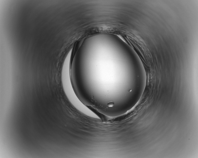 X0000093620419200710151304