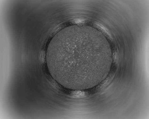 X0000093620421200710151304