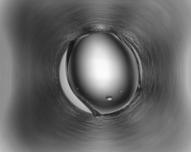 X0000093620423200710151304
