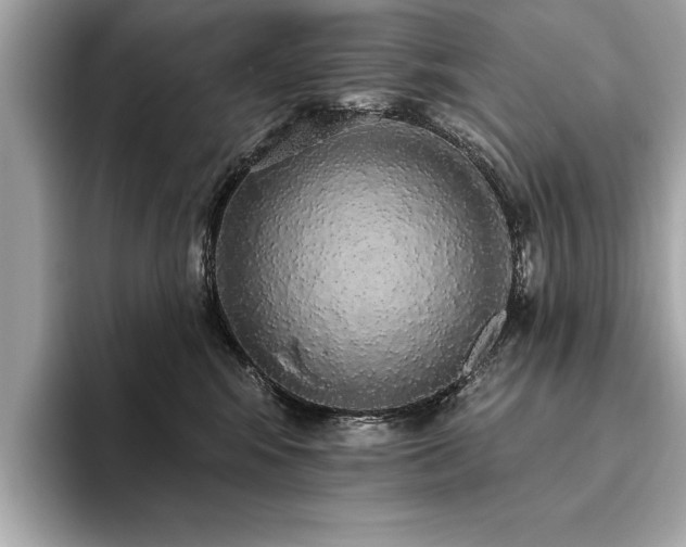 X0000093620424200710151304
