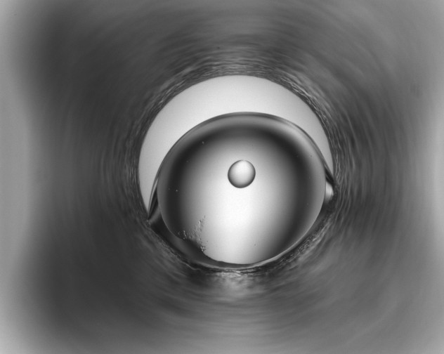 X0000093620425200710151304