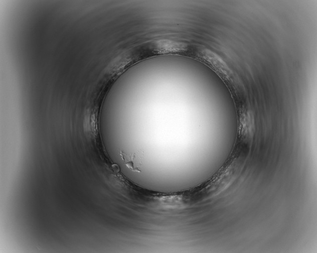 X0000093620426200710151304