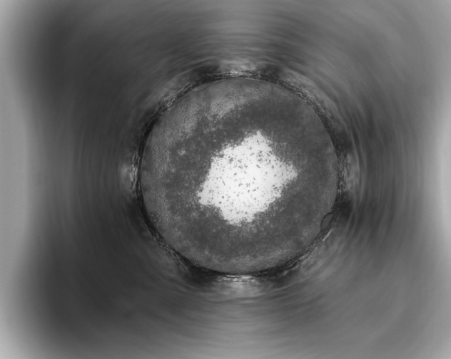 X0000093620427200710151304