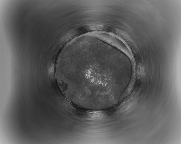 X0000093620428200710151304
