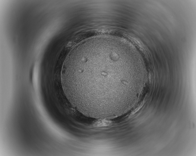 X0000093620429200710151304