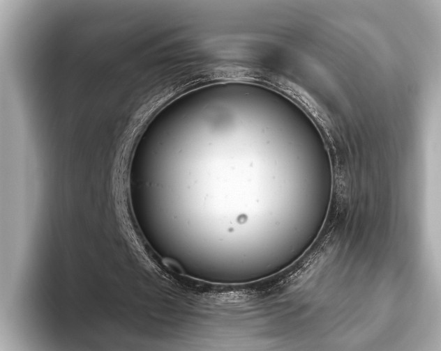 X0000093620433200710151304