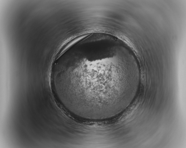 X0000093620434200710151304