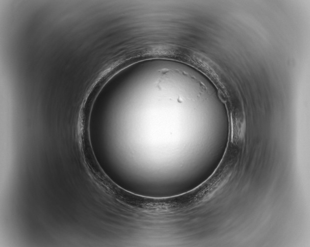 X0000093620435200710151304