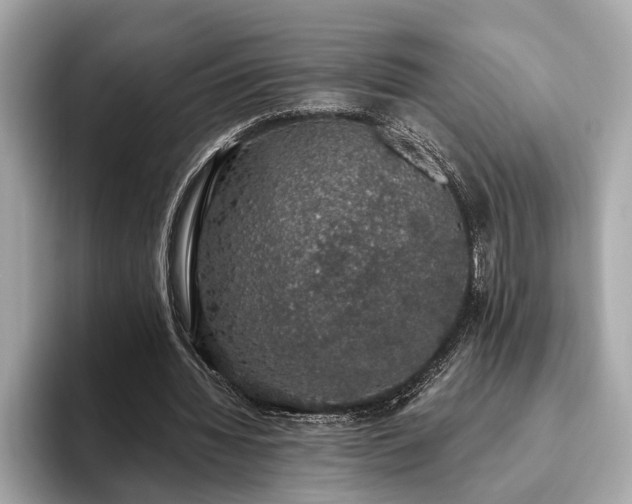 X0000093620436200710151304