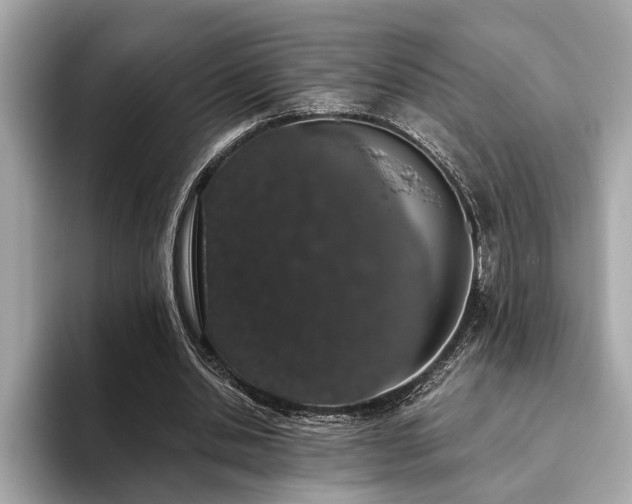 X0000093620438200710151304