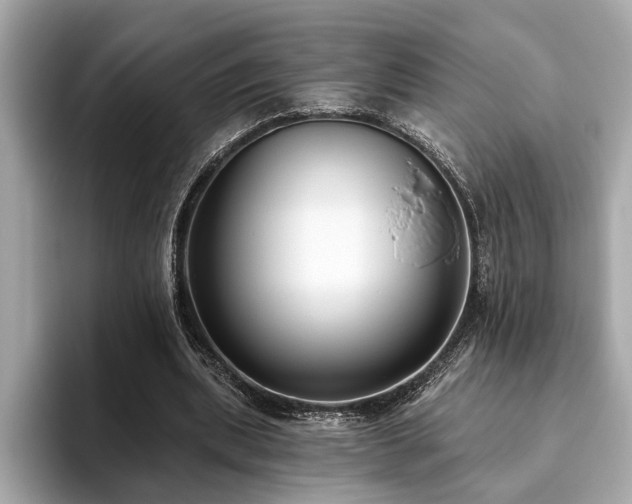 X0000093620439200710151304