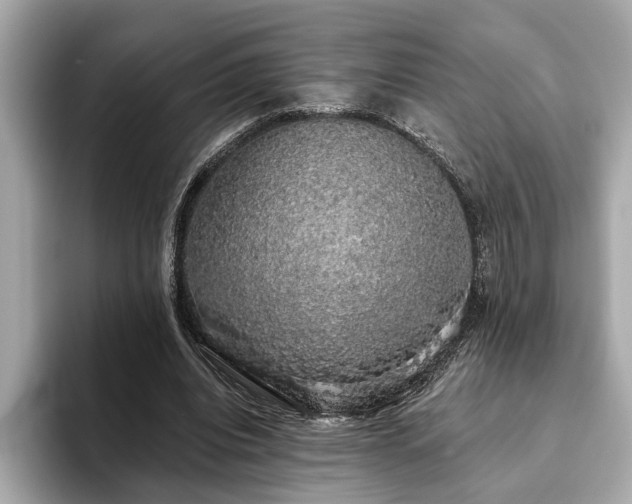 X0000093620440200710151304