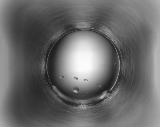 X0000093620441200710151304
