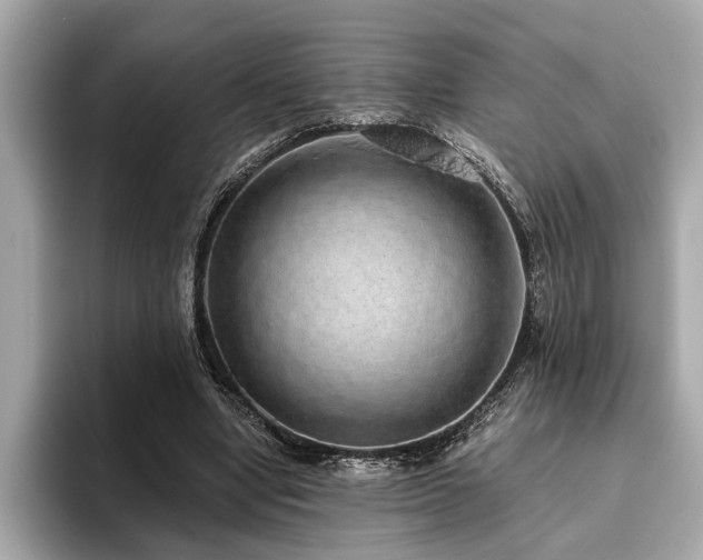 X0000093620442200710151304