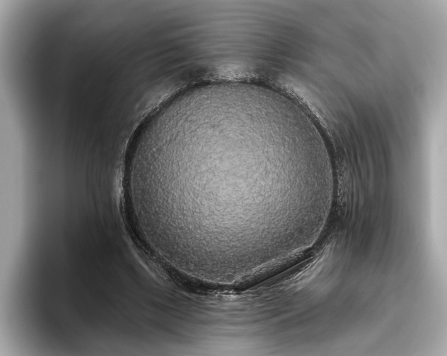 X0000093620443200710151304