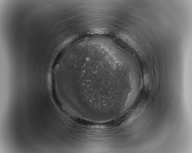 X0000093620444200710151304