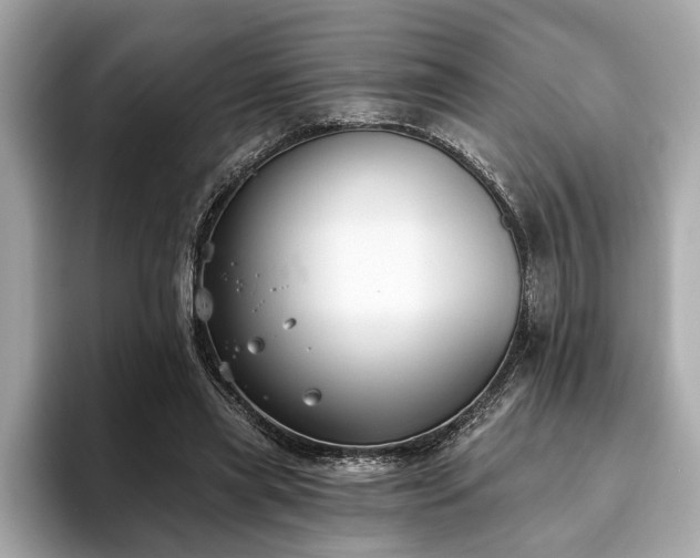 X0000093620445200710151304