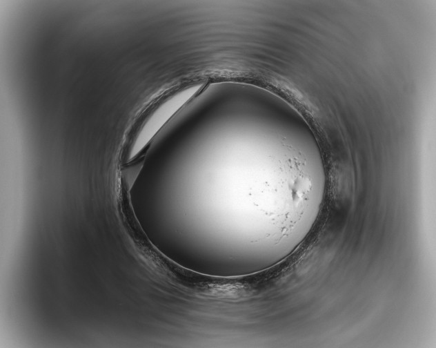 X0000093620446200710151304