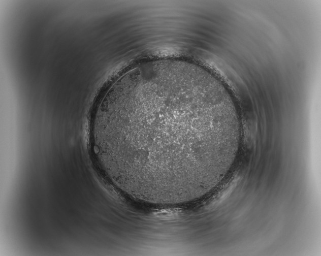 X0000093620447200710151304