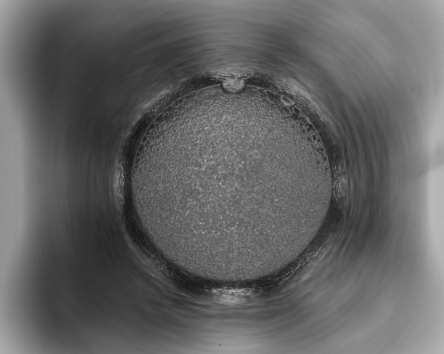 X0000093620448200710151304